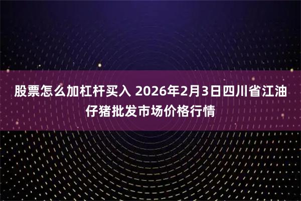 股票怎么加杠杆买入 2026年2月3日四川省江油仔猪批发市场价格行情