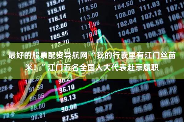 最好的股票配资导航网 “我的行囊里有江门丝苗米！”江门五名全国人大代表赴京履职